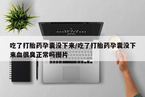 网上卖打胎药微信在线联系方式吃了打胎药孕囊没下来/吃了打胎药孕囊没下来血很臭正常吗图片